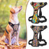 Absque Quick Control Dog Harness