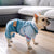 Denim Dog Coats